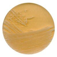 Tryptic Soy Agar with Lecithin and Polysorbate 80 acc. EP, USP, JP, EN 17141 and ISO 21149 NutriSelect