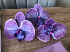 SOFRA SUNUM TAM SET ORKİDE