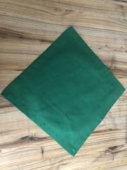 YAPRAK YEŞİLİ KUMAŞ PEÇETE (6 ADET) (40X40 CM)