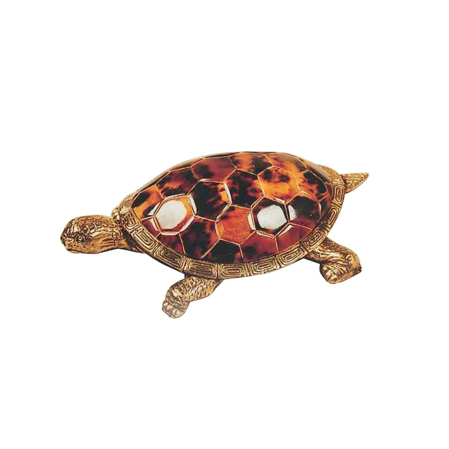 YOUNG TURTLE ACCESSORY