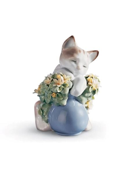 DREAMY KITTEN CAT