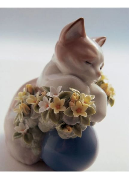 DREAMY KITTEN CAT