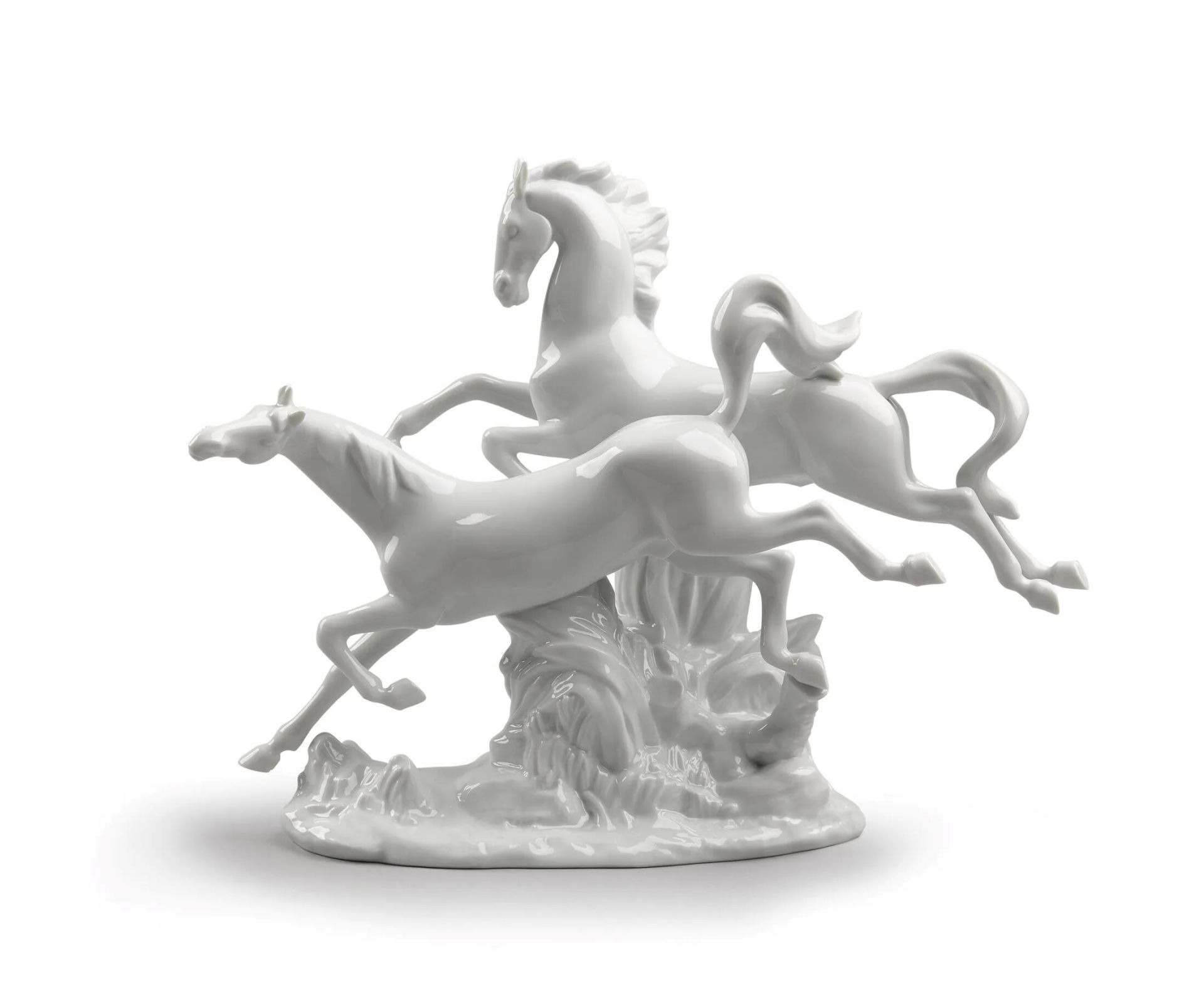 HORSES GALLOPING