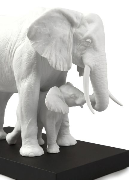 LEADING THE WAY ELEPHANTS