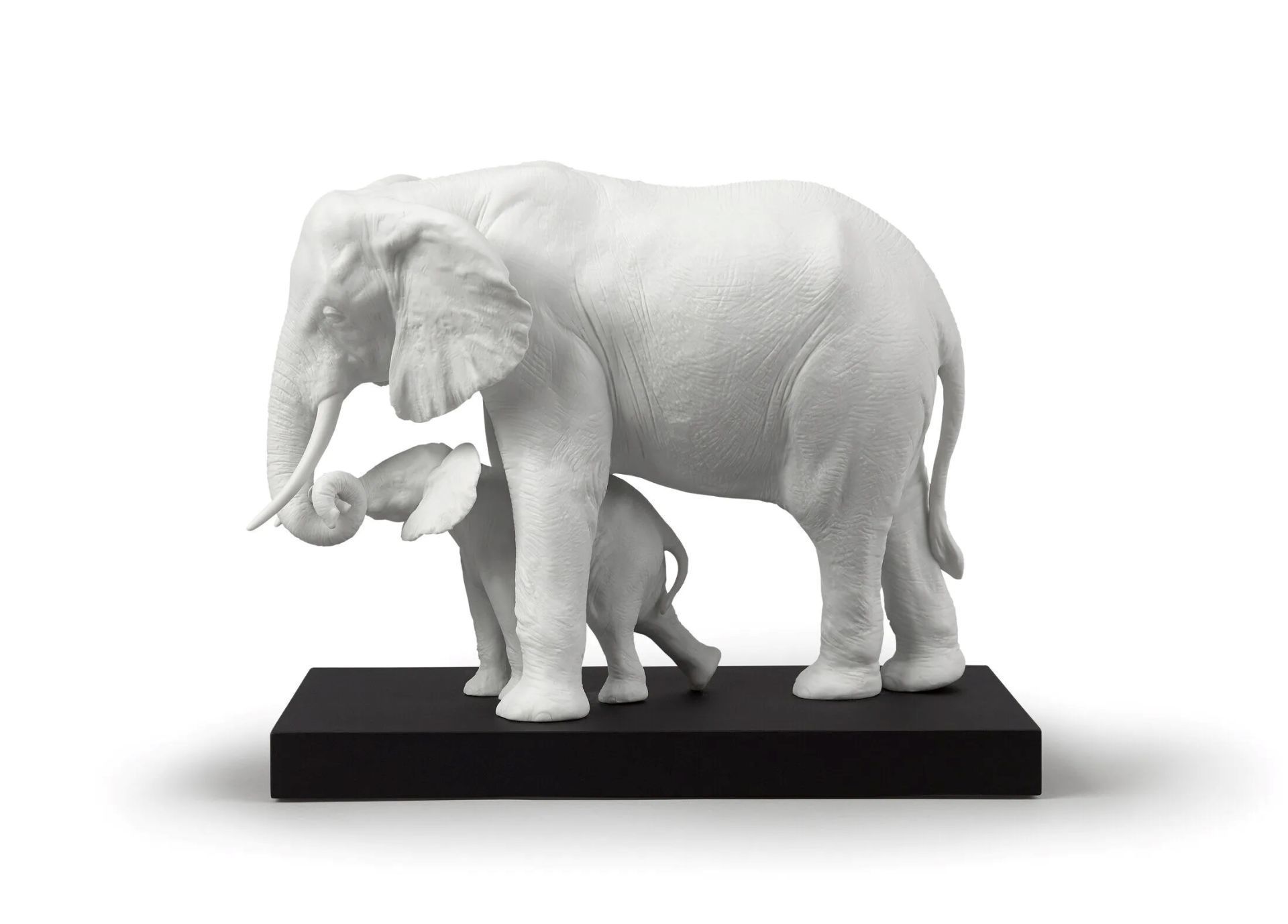 LEADING THE WAY ELEPHANTS