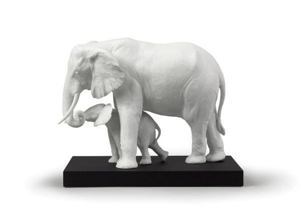 LEADING THE WAY ELEPHANTS