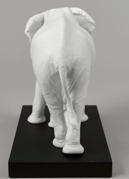 LEADING THE WAY ELEPHANTS