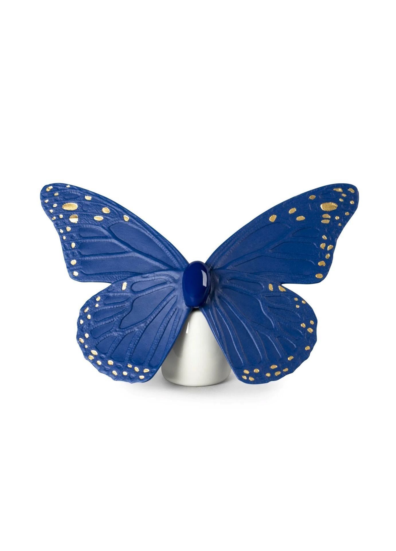 BUTTERFLY BLUE & GOLD