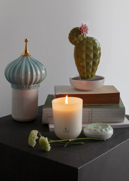 OPUNTIA CACTUS DIFFUSER