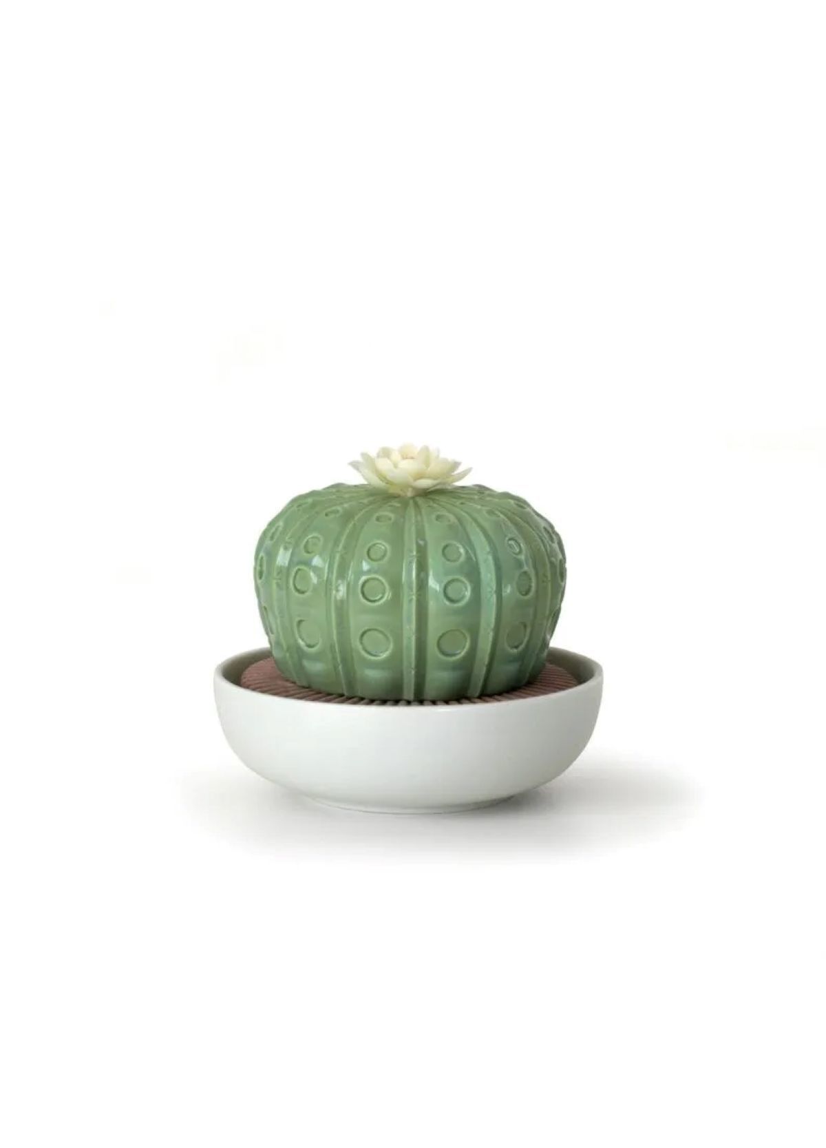 ASTROPHYTUM CACTUS DIFFUSER