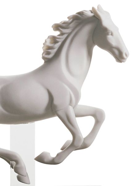 GALLOP I