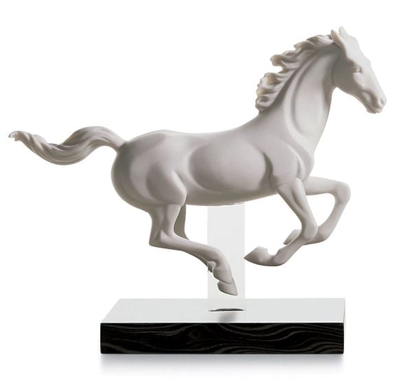 GALLOP I