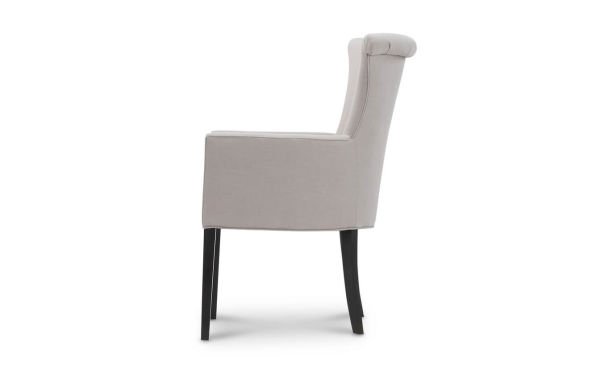 CLASSICS ARM CHAIR