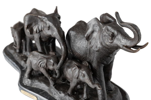 ELEPHANT FAMILY