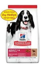 Hill's Kuzulu ve Pirinçli Orta Irk Yetişkin Köpek Maması 12kg + 2kg HEDİYE!