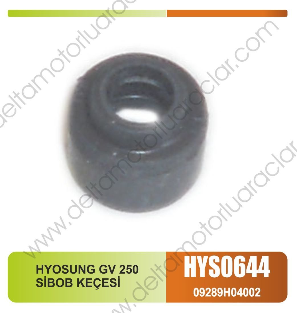 HYOSUNG GV 250 SİBOB KEÇESİ