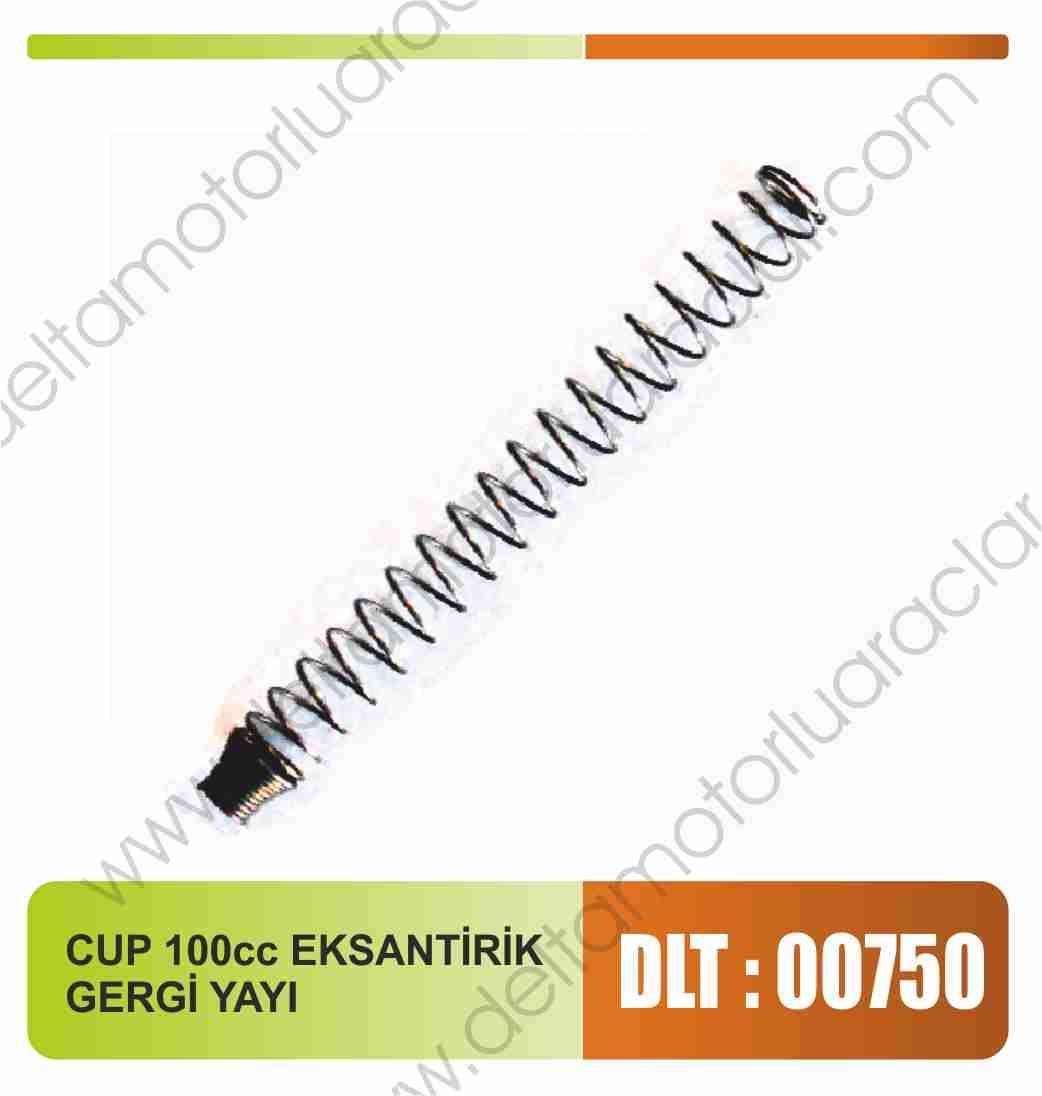 CUP 100 cc EKSANTRİK GERGİ YAYI