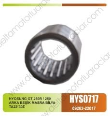 HYOSUNG GT 250R / 250 ARKA BEŞİK MASRA BİLYA  TA22*30Z