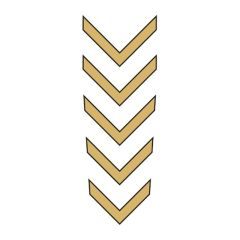 CG GOLD ÇAMURLUK ÜST STİCKER