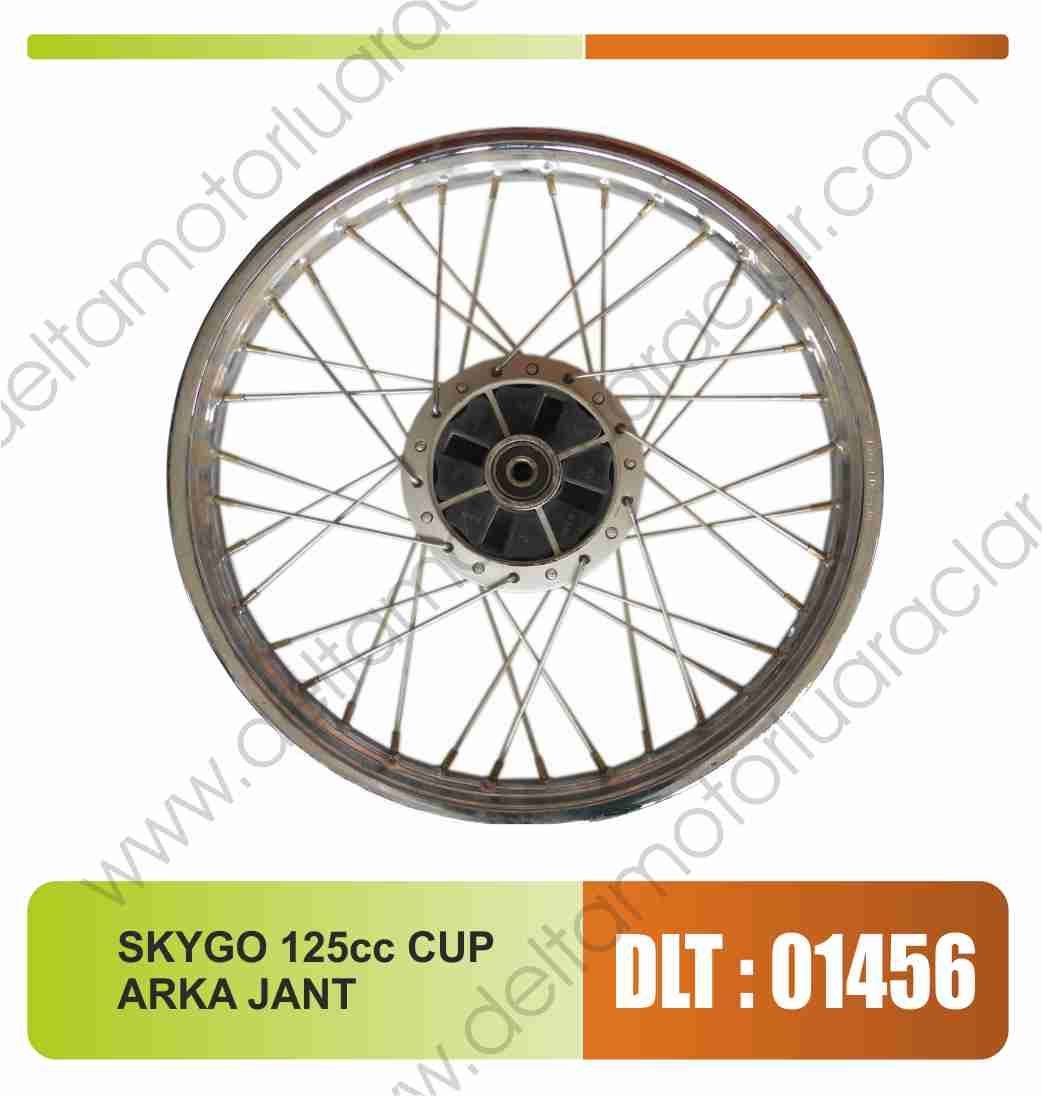 SKYGO 125CC ARKA JANT