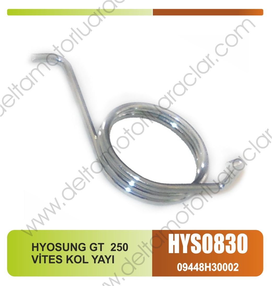 HYOSUNG GT  250 VİTES KOL YAYI