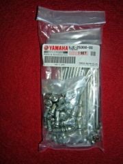 YAMAHA XVS 125-250 ORİJİNAL ARKA TEKER MİL SETİ 5JX-25304-00