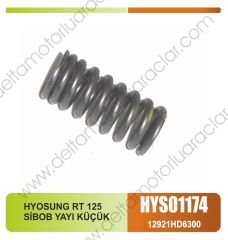 HYOSUNG RT 125 SİBOB YAYI KÜÇÜK