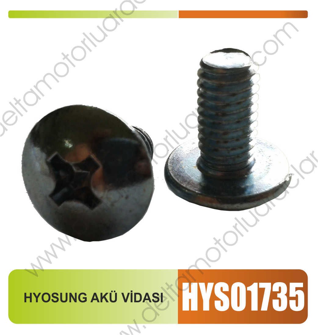 HYOSUNG AKÜ VİDASI