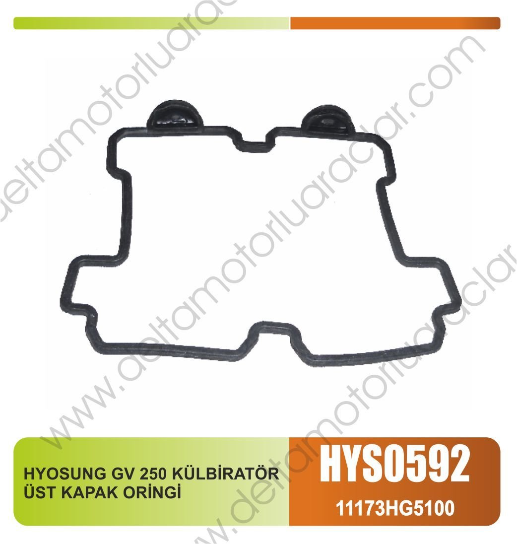 HYOSUNG GV 250 KÜLBİRATÖR ÜST KAPAK ORİNGİ