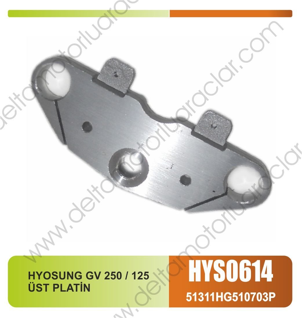 HYOSUNG GV 250 / 125 ÜST PLATİN
