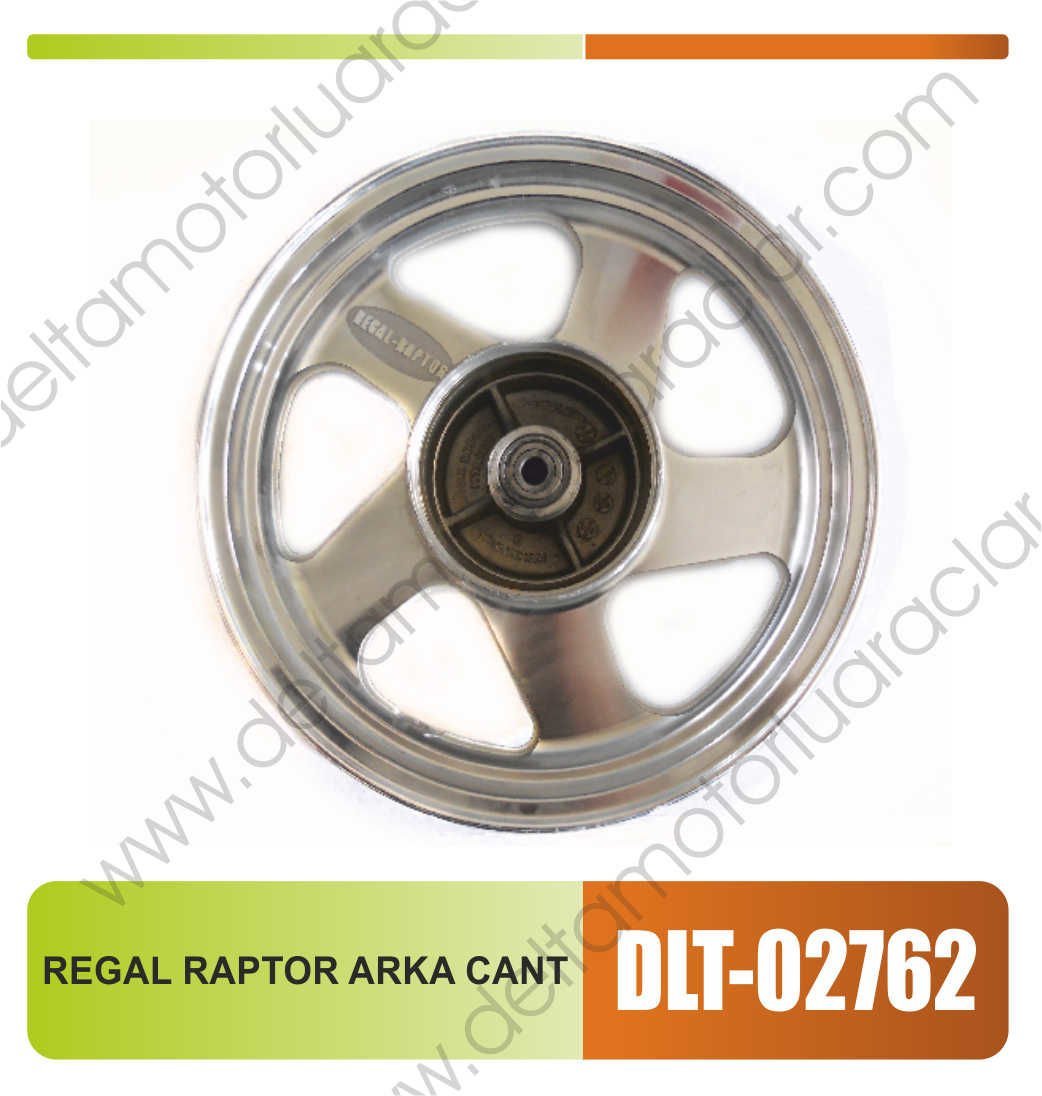 REGAL RAPTOR ARKA JANT