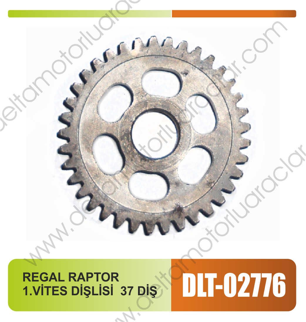 REGAL RAPTOR 1.VİTES DİŞLİSİ  37 DİŞ