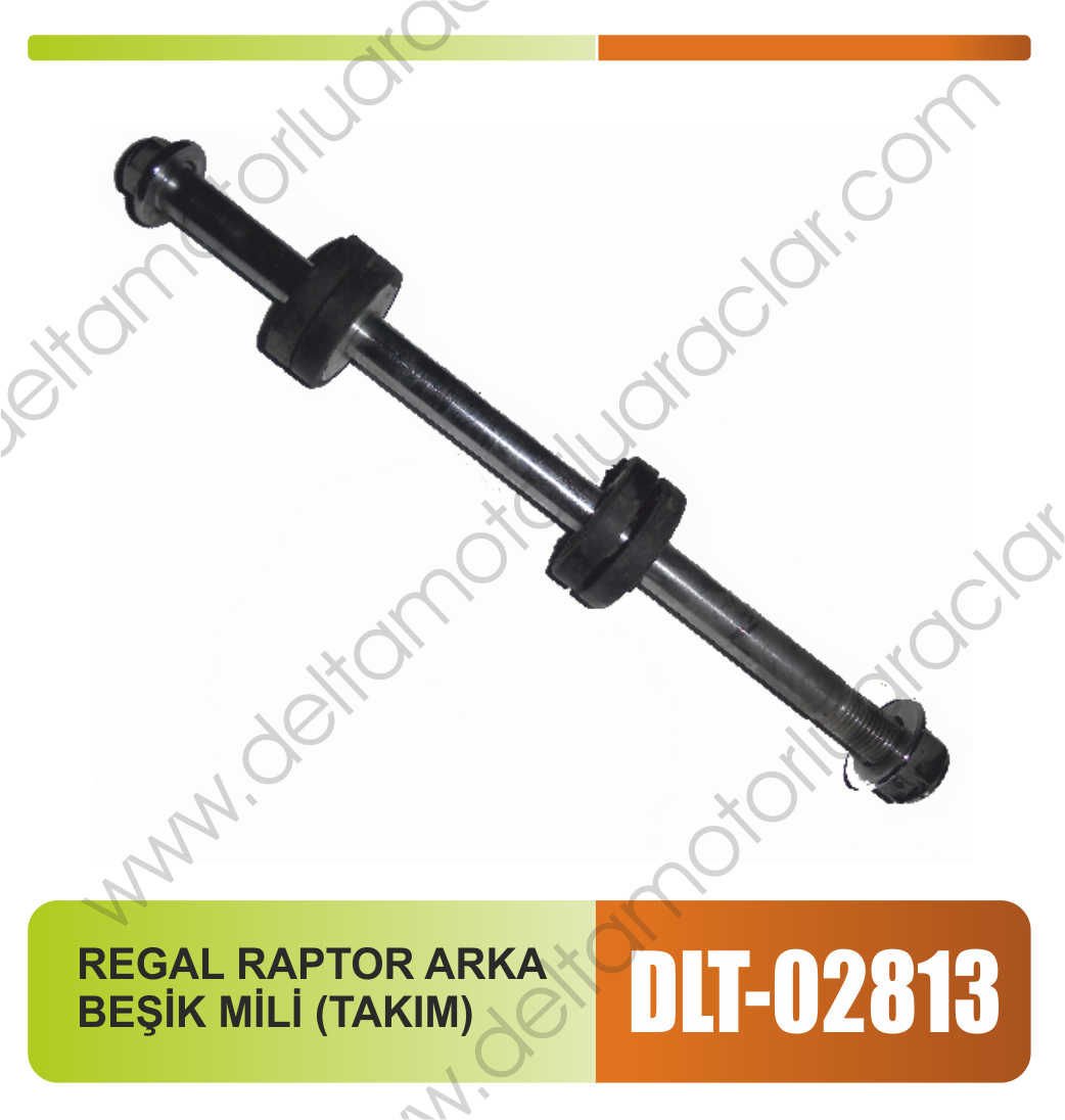 REGAL RAPTOR ARKA BEŞİK MİLİ (TAKIM)