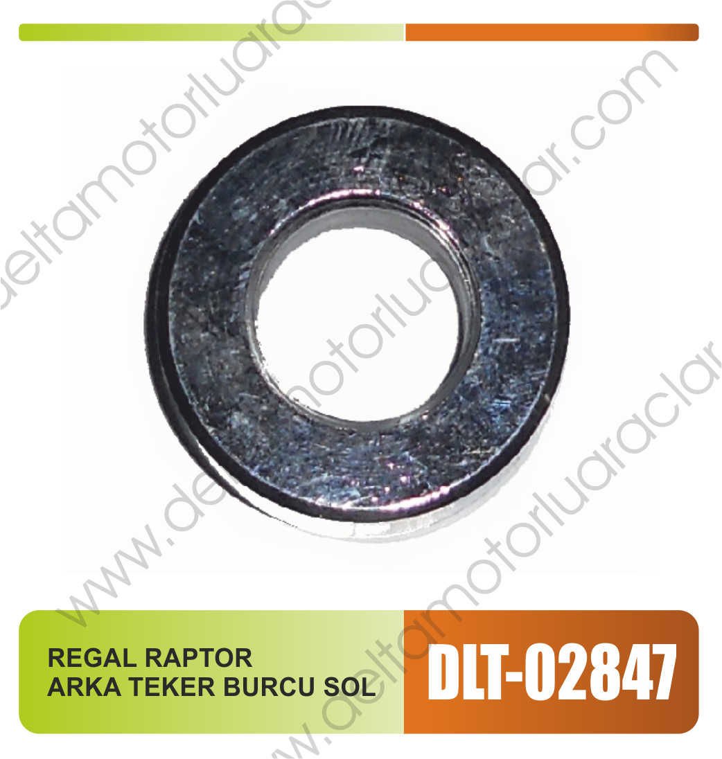 REGAL RAPTOR ARKA TEKER BURCU SOL