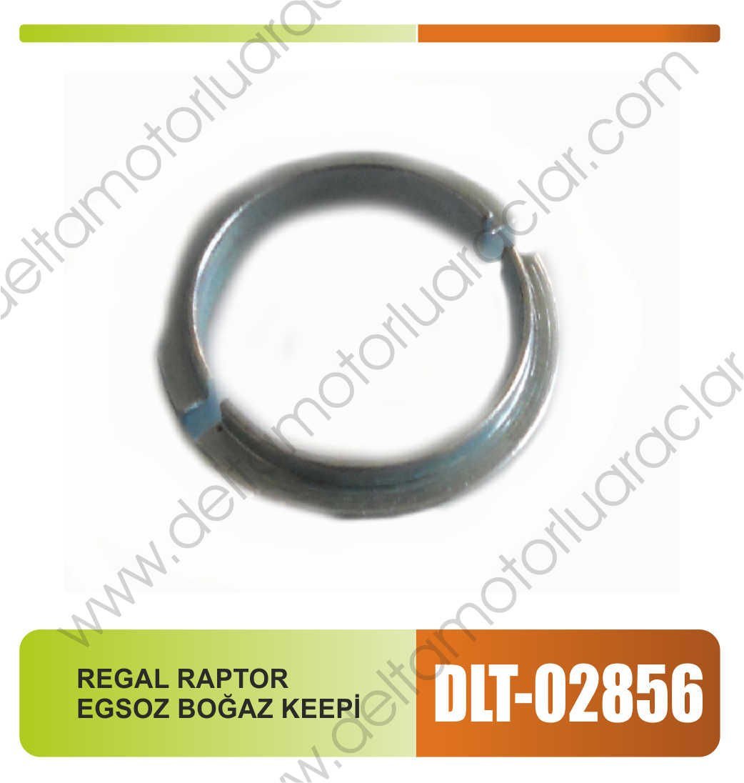 REGAL RAPTOR EGSOZ BOĞAZ KEEPİ