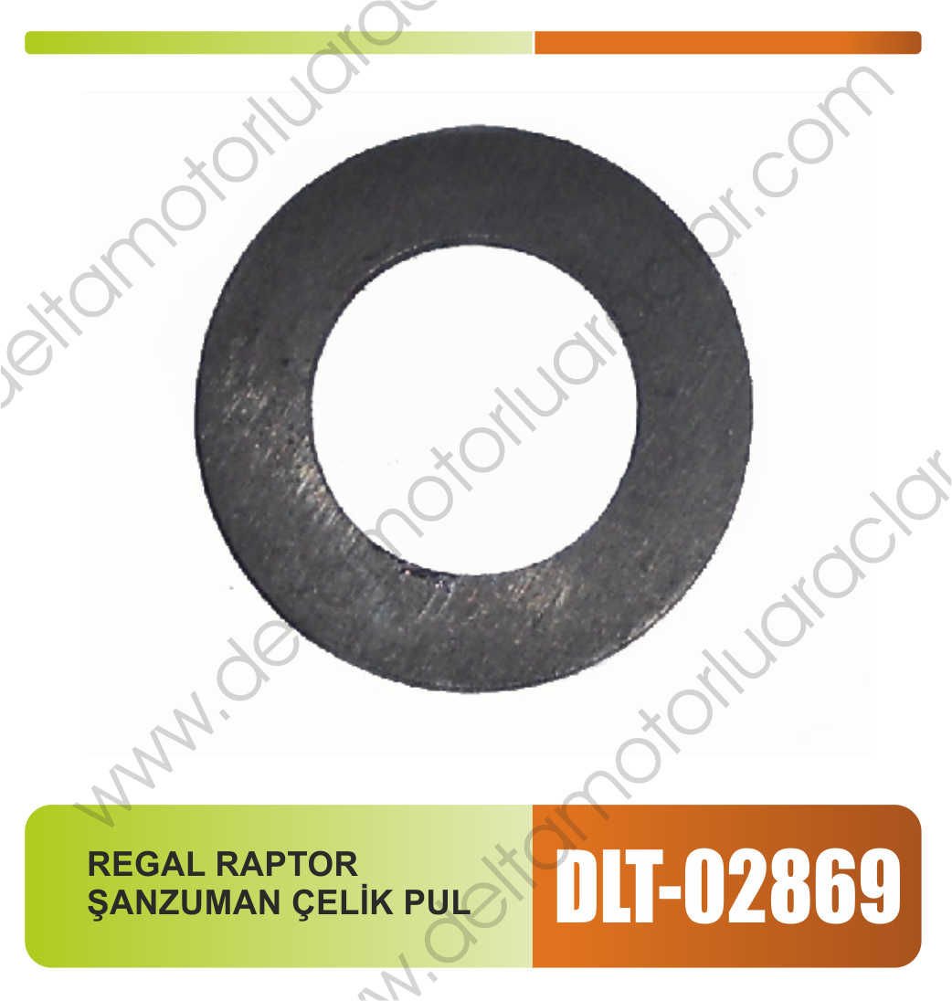 REGAL RAPTOR ŞANZUMAN ÇELİK PUL