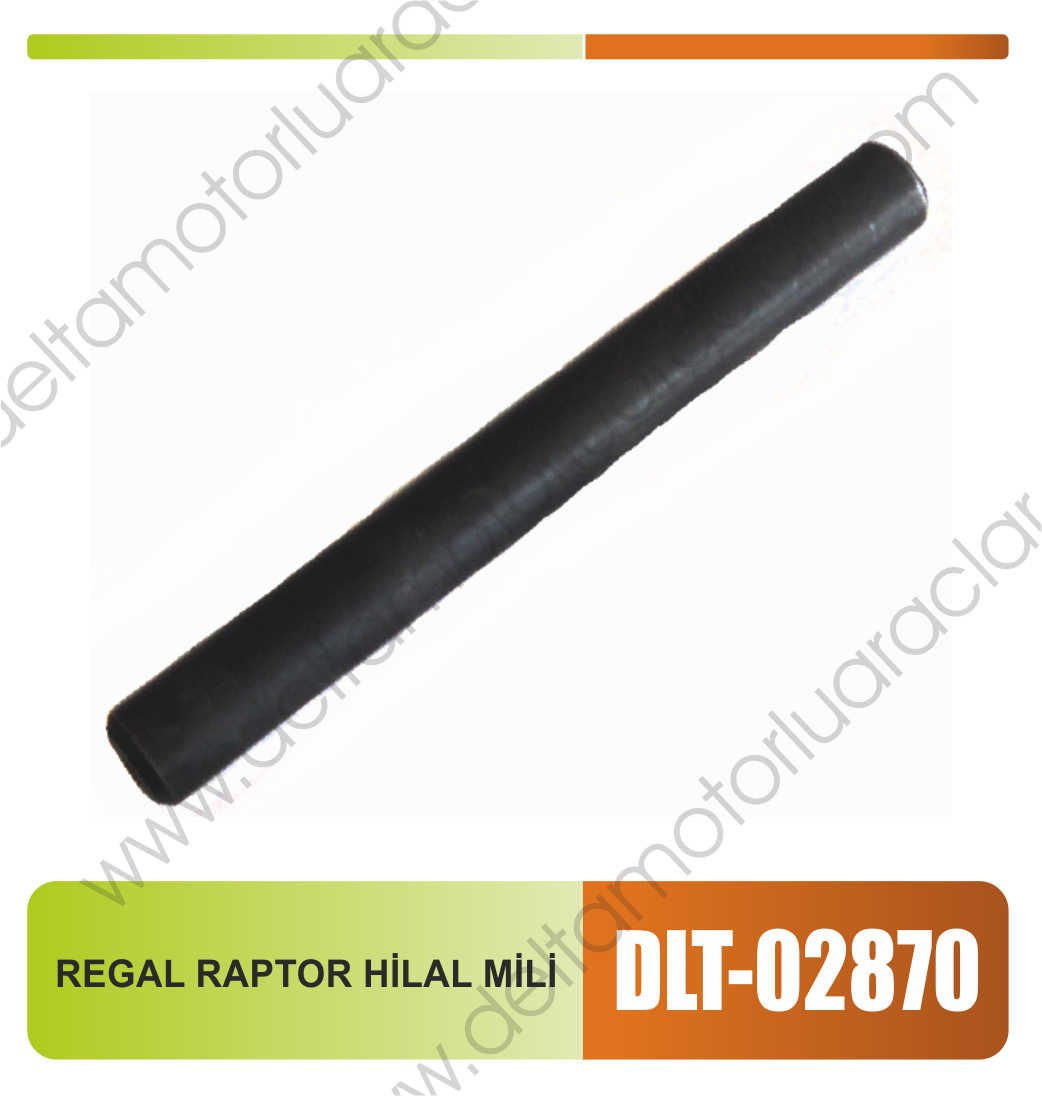 REGAL RAPTOR HİLAL MİLİ