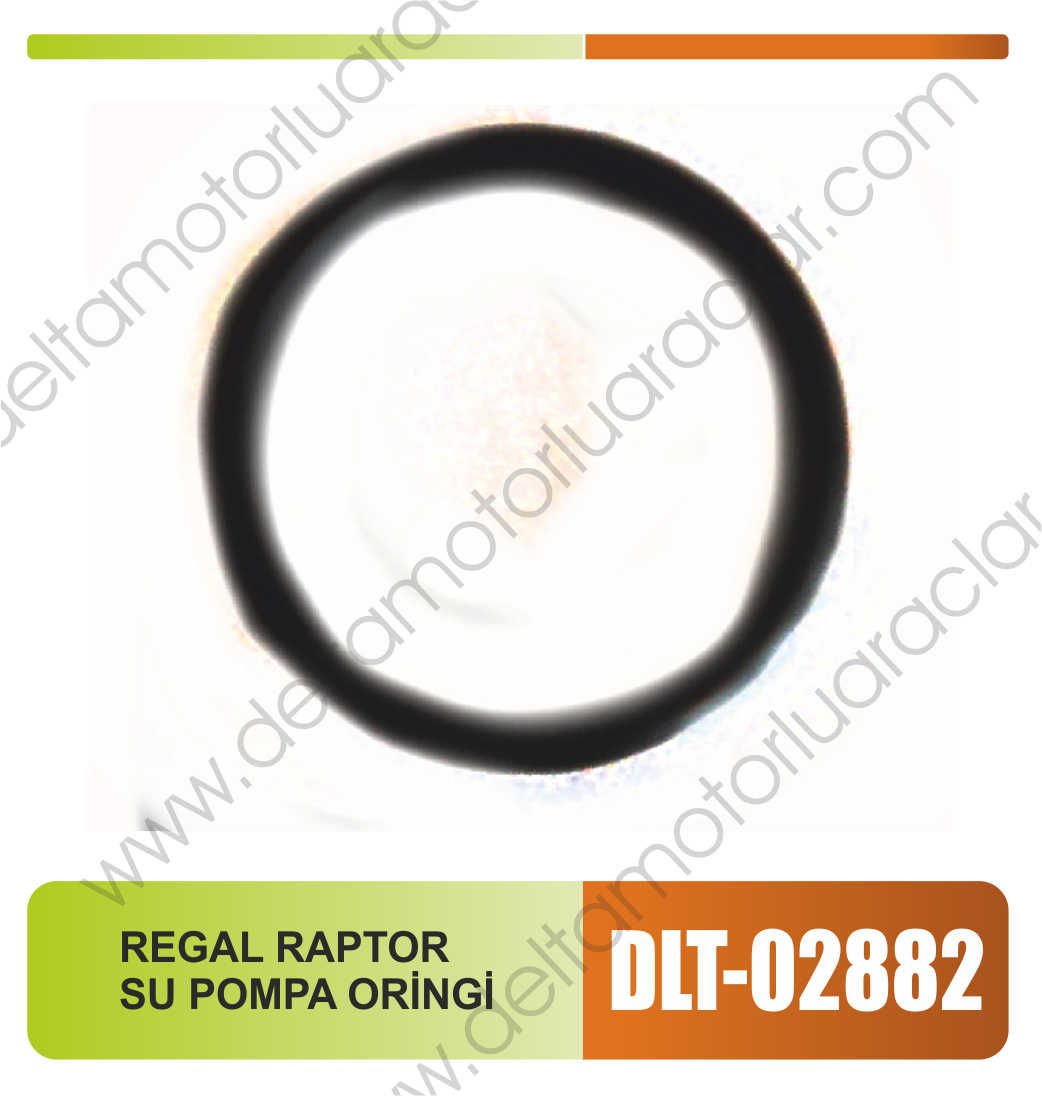 REGAL RAPTOR SU POMPA ORİNGİ