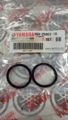 YAMAHA FZ9/NT9/XT12/MT10/MT09/MT07 ORİJİNAL ÖN FREN KALİPER KEÇE SETİ 3GM-25803-10