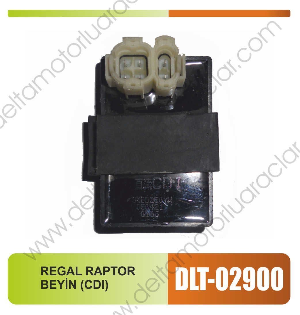 REGAL RAPTOR BEYİN (CDI)