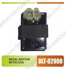 REGAL RAPTOR BEYİN (CDI)