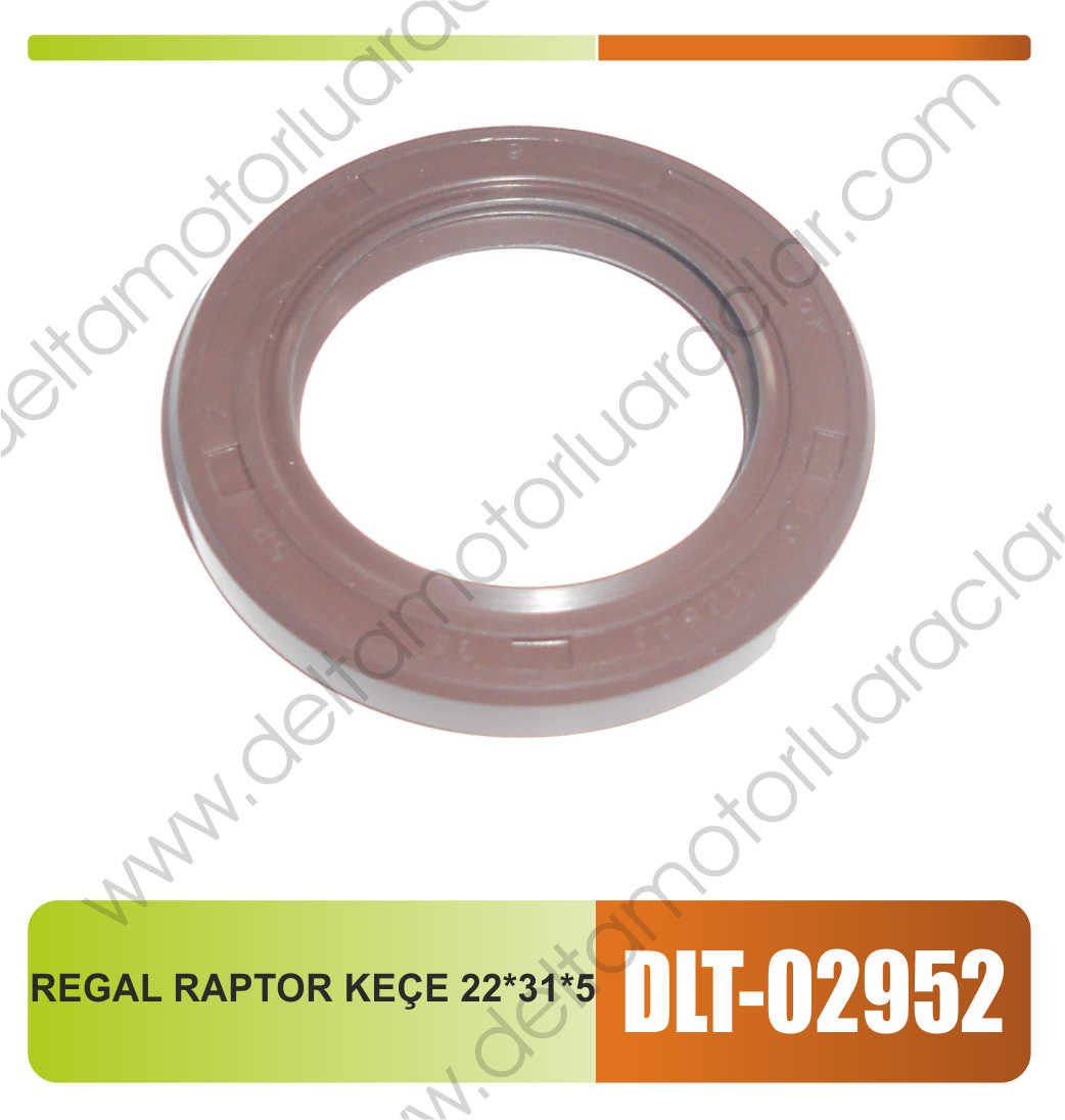 REGAL RAPTOR KEÇE 22*31*5