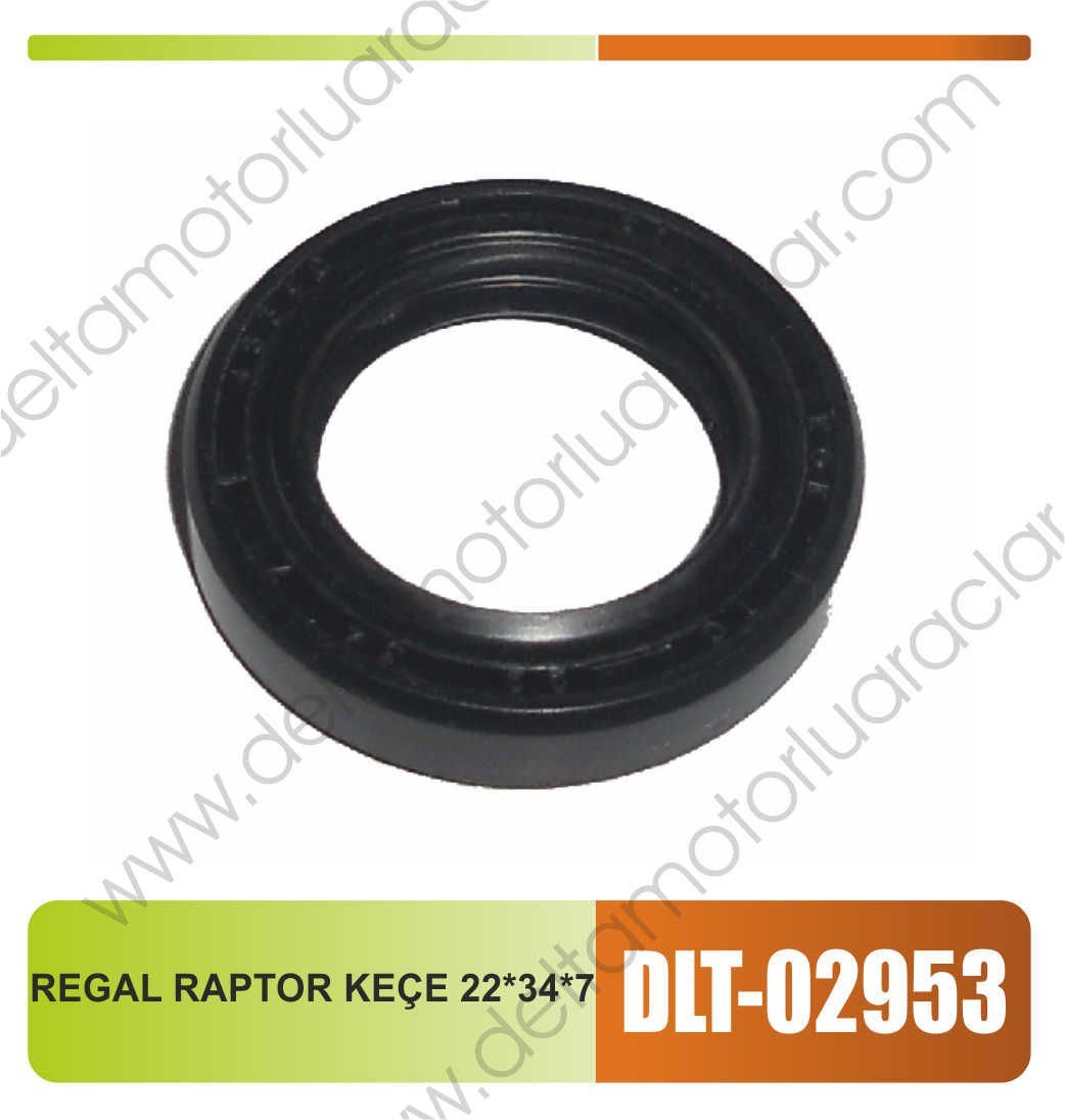 REGAL RAPTOR KEÇE 22*34*7