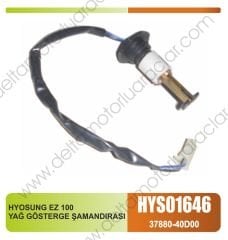 HYOSUNG EZ 100 YAĞ GÖSTERGE ŞAMANDIRASI