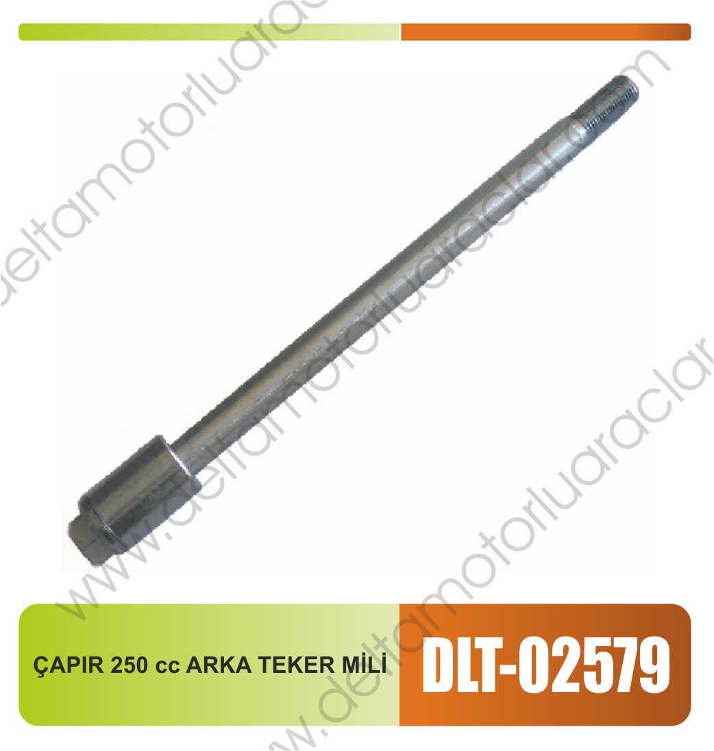 CHOPPER 250cc ARKA TEKER MİLİ
