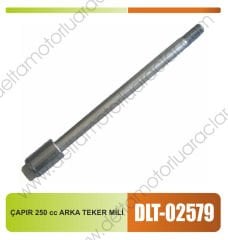 CHOPPER 250cc ARKA TEKER MİLİ