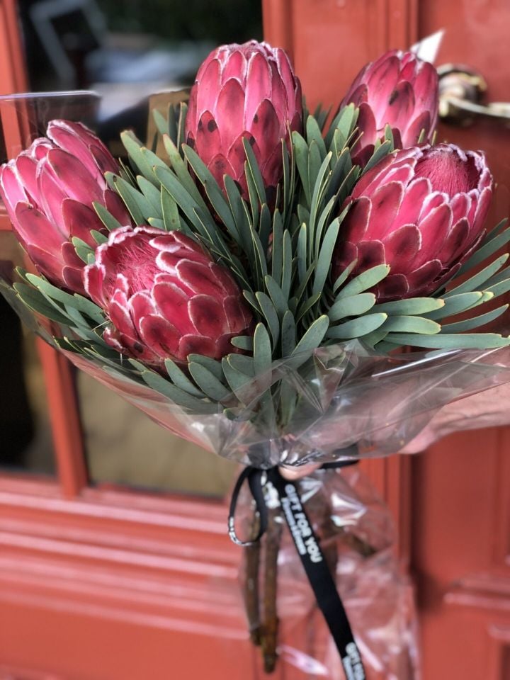 Protea Bouquet