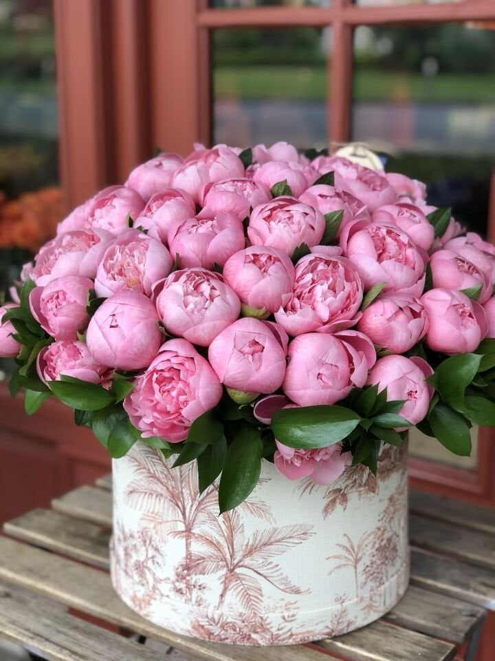 Şeker Pembe Şakayık Kutusu