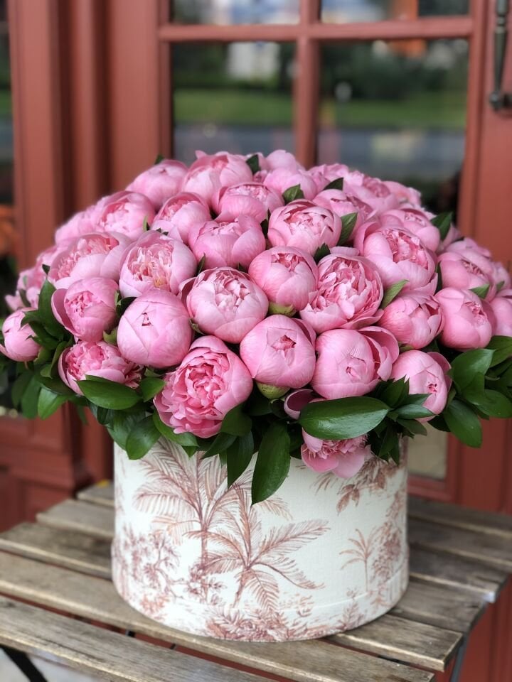 Şeker Pembe Şakayık Kutusu