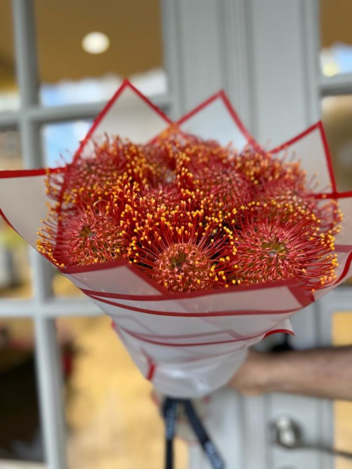 Leucospermum Buketi